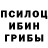 Псилоцибиновые грибы MAGIC MUSHROOMS Ossie Weinert