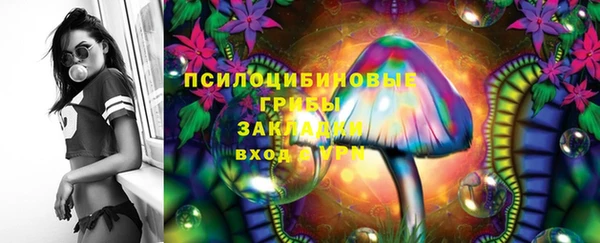 ГАЛЛЮЦИНОГЕННЫЕ ГРИБЫ Балабаново