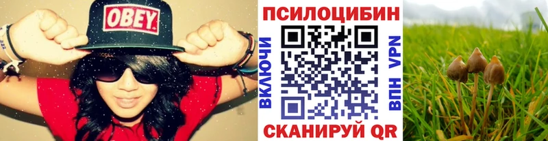 Галлюциногенные грибы Magic Shrooms Барабинск