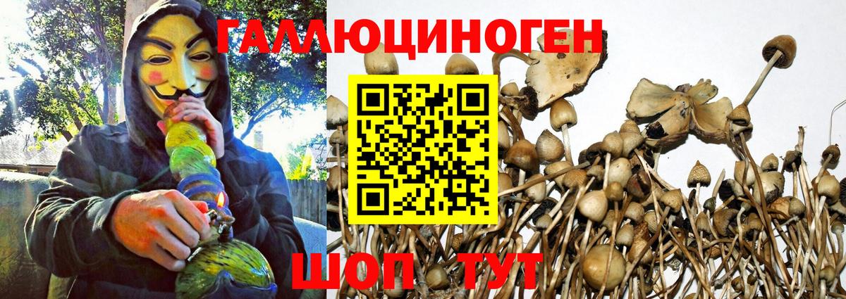 Псилоцибиновые грибы GOLDEN TEACHER  Вход с VPN  Барабинск  Псилоцибиновые грибы MAGIC MUSHROOMS 